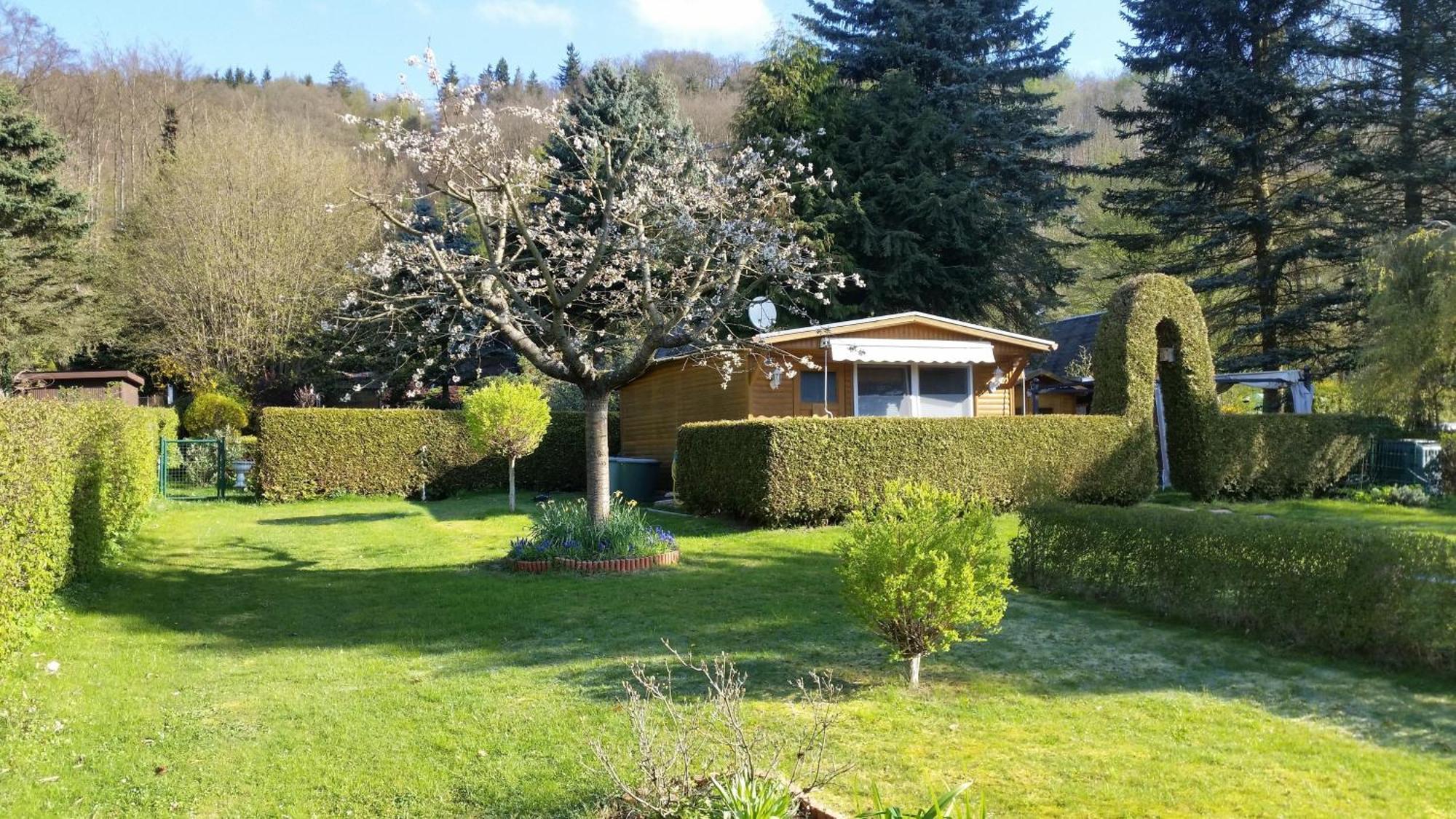 Poolhaus Im Suedharz Villa Harztor Exterior photo